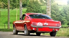 Красный Ford Mustang остановился около березок